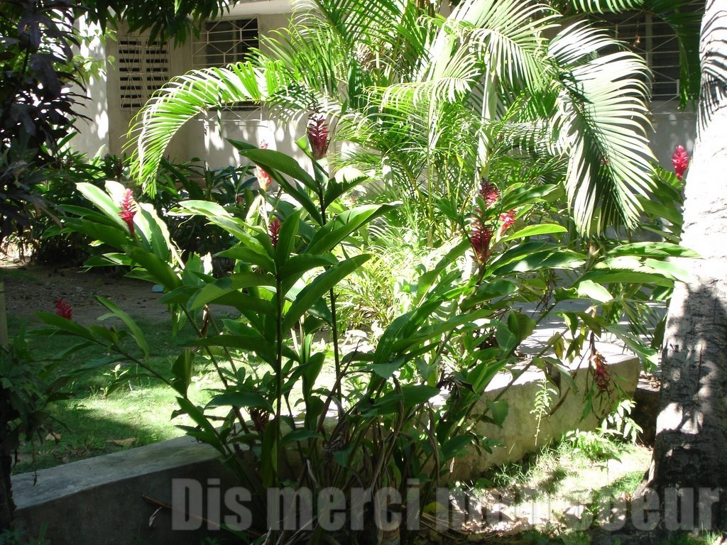 maison et jardin crèche NDN 